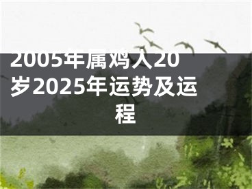 2005年属鸡人20岁2025年运势及运程