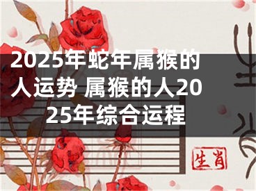 2025年蛇年属猴的人运势 属猴的人2025年综合运程