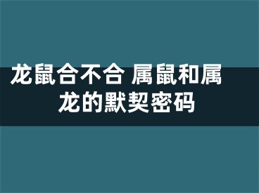 龙鼠合不合 属鼠和属龙的默契密码