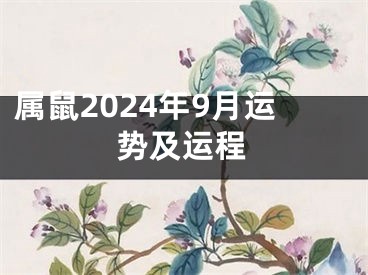 属鼠2024年9月运势及运程