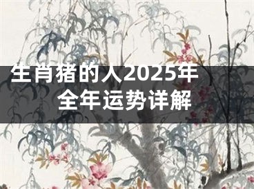 生肖猪的人2025年全年运势详解