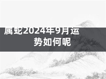 属蛇2024年9月运势如何呢
