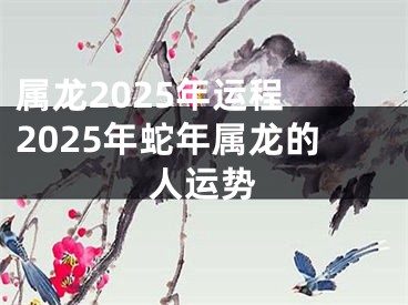 属龙2025年运程 2025年蛇年属龙的人运势