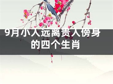 9月小人远离贵人傍身的四个生肖