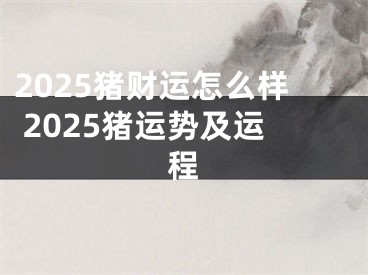 2025猪财运怎么样 2025猪运势及运程