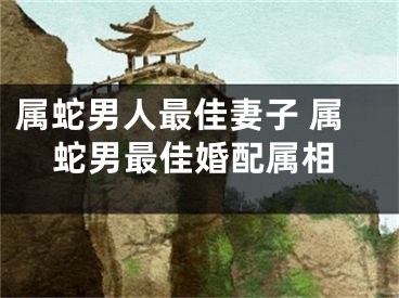 属蛇男人最佳妻子 属蛇男最佳婚配属相