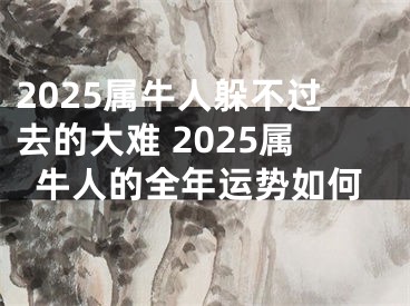 2025属牛人躲不过去的大难 2025属牛人的全年运势如何