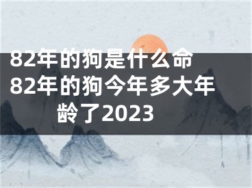 82年的狗是什么命 82年的狗今年多大年龄了2023