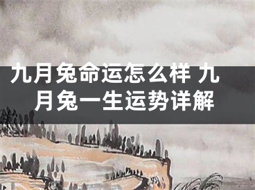 九月兔命运怎么样 九月兔一生运势详解