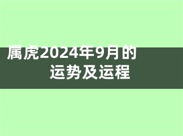 属虎2024年9月的运势及运程