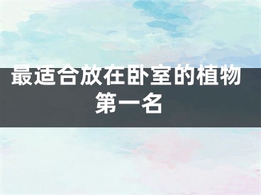 最适合放在卧室的植物第一名