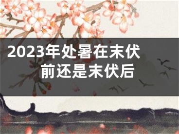 2023年处暑在末伏前还是末伏后