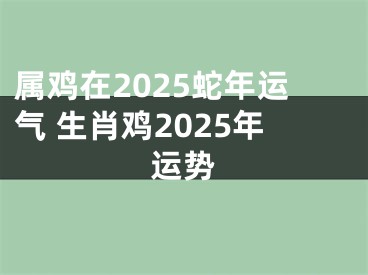 属鸡在2025蛇年运气 生肖鸡2025年运势