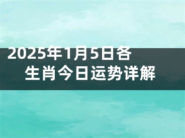 2025年1月5日各生肖今日运势详解