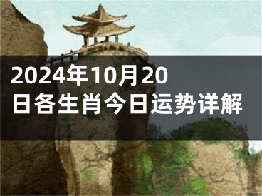 2024年10月20日各生肖今日运势详解