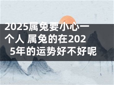 2025属兔要小心一个人 属兔的在2025年的运势好不好呢