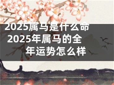 2025属马是什么命 2025年属马的全年运势怎么样