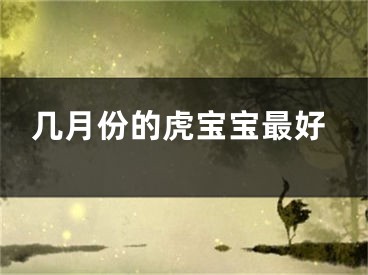 几月份的虎宝宝最好