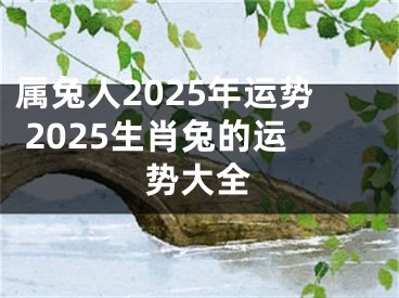 属兔人2025年运势 2025生肖兔的运势大全