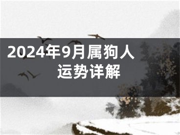 2024年9月属狗人运势详解
