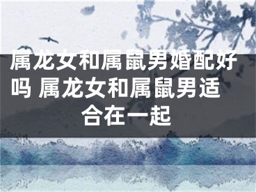 属龙女和属鼠男婚配好吗 属龙女和属鼠男适合在一起