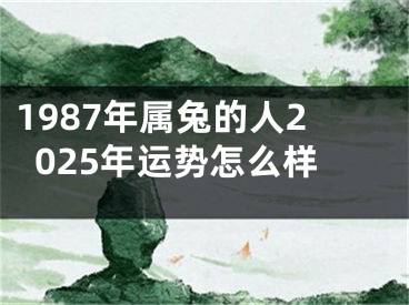 1987年属兔的人2025年运势怎么样