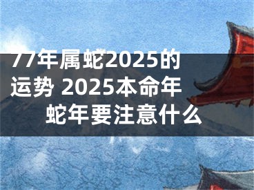 77年属蛇2025的运势 2025本命年蛇年要注意什么
