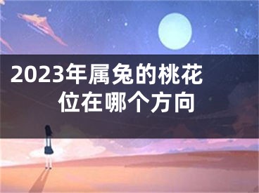 2023年属兔的桃花位在哪个方向