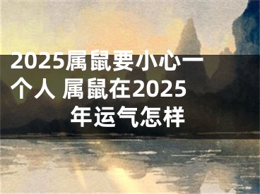 2025属鼠要小心一个人 属鼠在2025年运气怎样