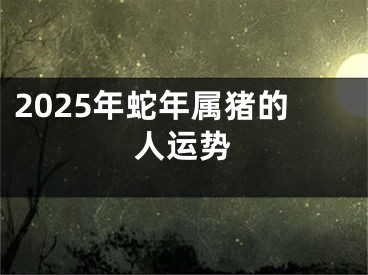 2025年蛇年属猪的人运势