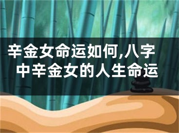 辛金女命运如何,八字中辛金女的人生命运