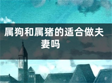 属狗和属猪的适合做夫妻吗 
