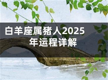 白羊座属猪人2025年运程详解