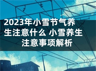 2023年小雪节气养生注意什么 小雪养生注意事项解析