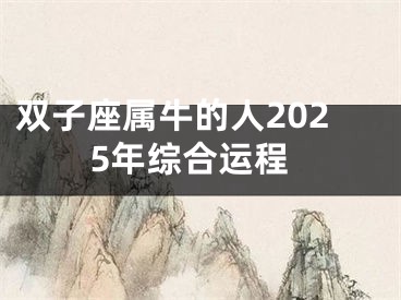 双子座属牛的人2025年综合运程