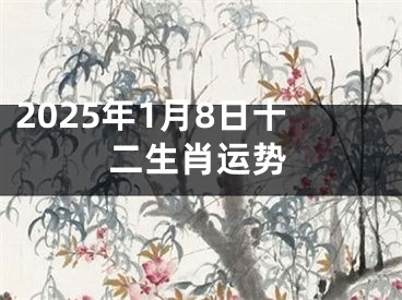 2025年1月8日十二生肖运势