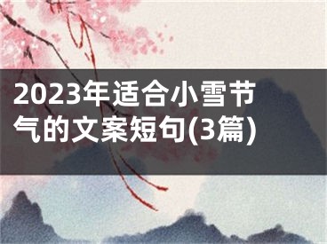 2023年适合小雪节气的文案短句(3篇)