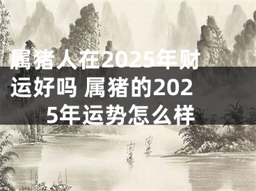 属猪人在2025年财运好吗 属猪的2025年运势怎么样