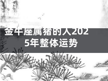 金牛座属猪的人2025年整体运势