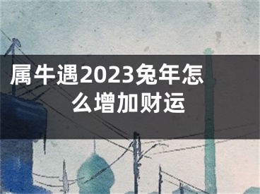属牛遇2023兔年怎么增加财运