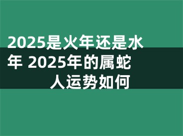 2025是火年还是水年 2025年的属蛇人运势如何