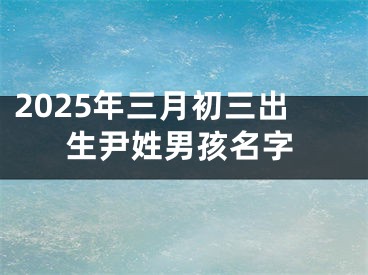 2025年三月初三出生尹姓男孩名字
