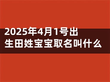 2025年4月1号出生田姓宝宝取名叫什么