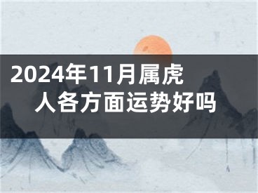 2024年11月属虎人各方面运势好吗