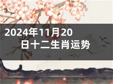 2024年11月20日十二生肖运势