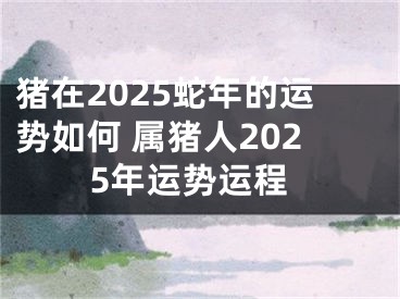 猪在2025蛇年的运势如何 属猪人2025年运势运程