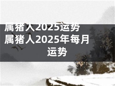 属猪人2025运势 属猪人2025年每月运势