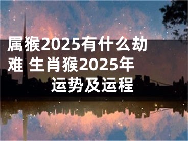属猴2025有什么劫难 生肖猴2025年运势及运程