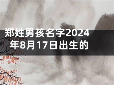 郑姓男孩名字2024年8月17日出生的