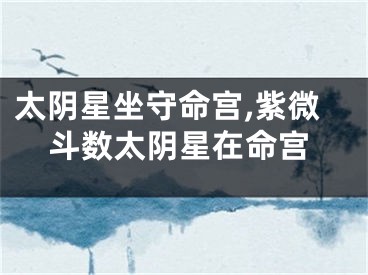 太阴星坐守命宫,紫微斗数太阴星在命宫